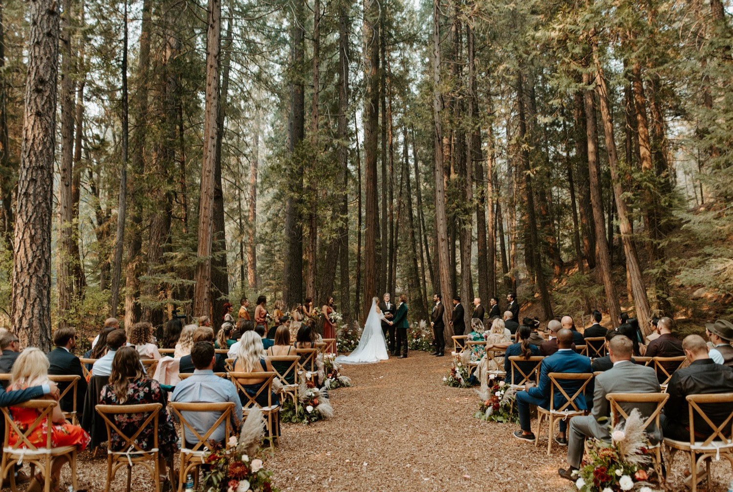 Joan and Kyle's ceremony among the tall pines
