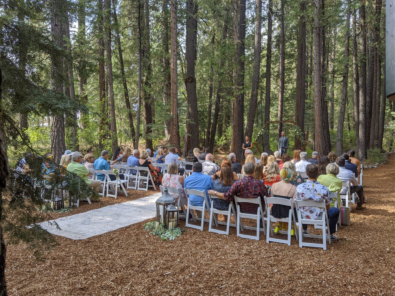Guests seated on white chairs for the ceremony in the pines at Twenty Mile House