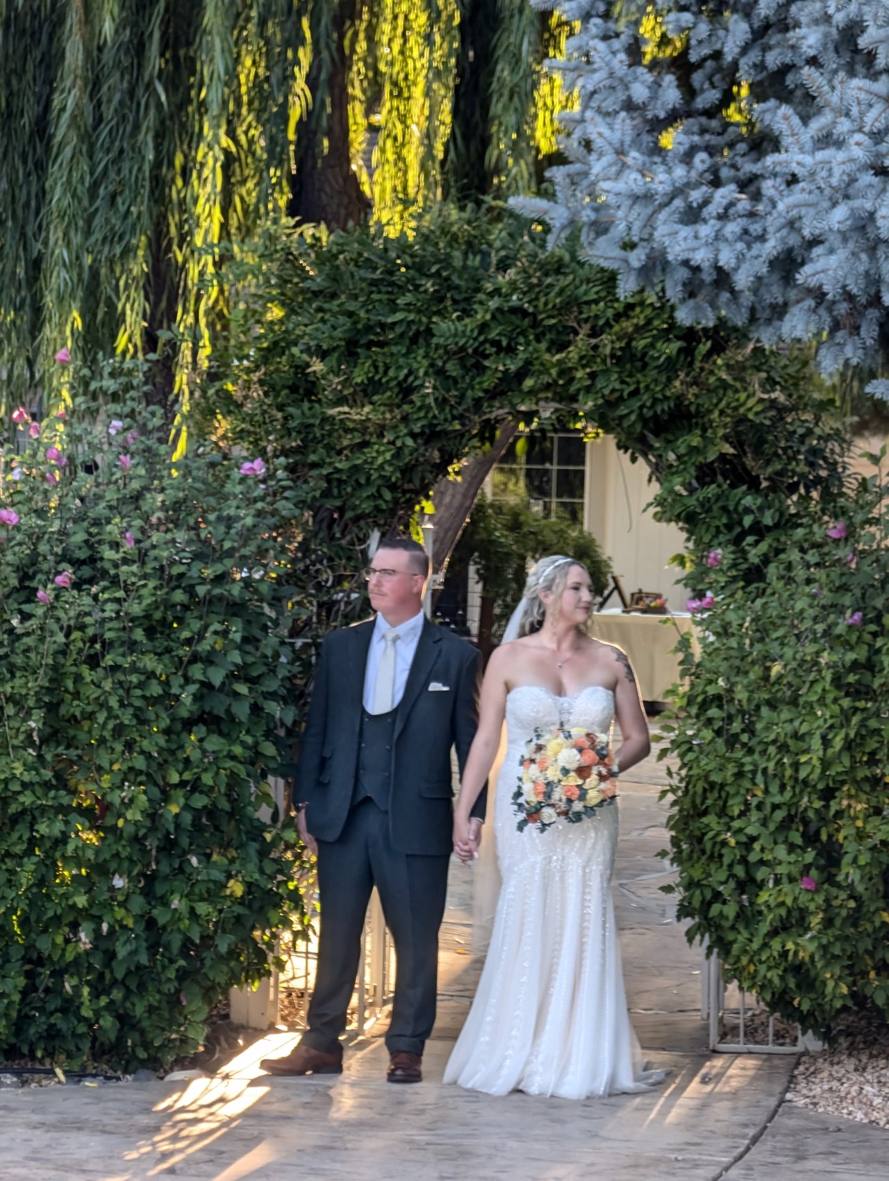 Emily and Logan hold hands under the ivy arch beside a weeping willow and a blue spruce