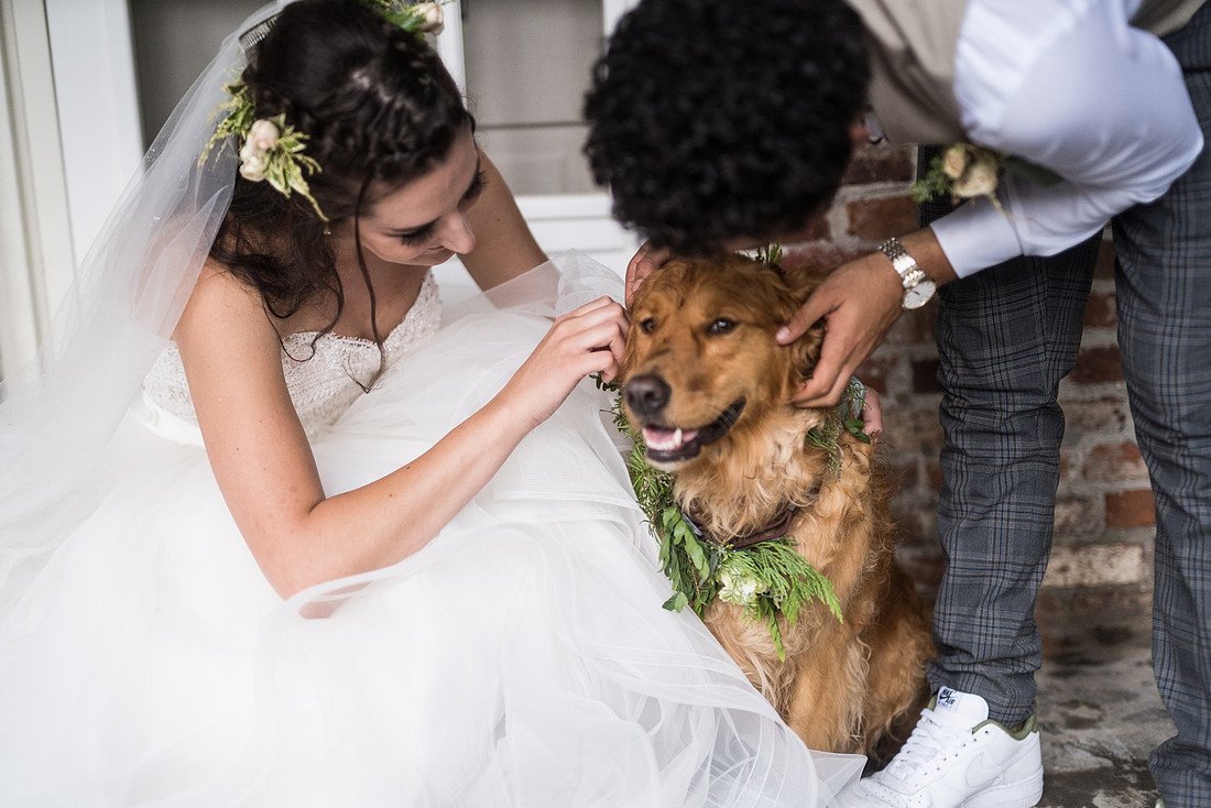 Shannon greets a dog wearing a collar of greenery